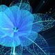 Blue Flower Tech Style Logo String - VideoHive Item for Sale