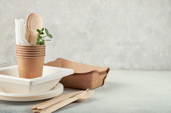 Biodegradable disposable tableware. Paper plates, cups, boxes. Wooden cutlery.
