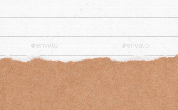 torn white paper texture