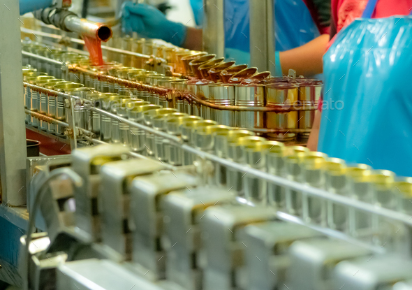 Canned fish factory. Food industry. Sardines in red tomato sauce in tinned cans on conveyor belt