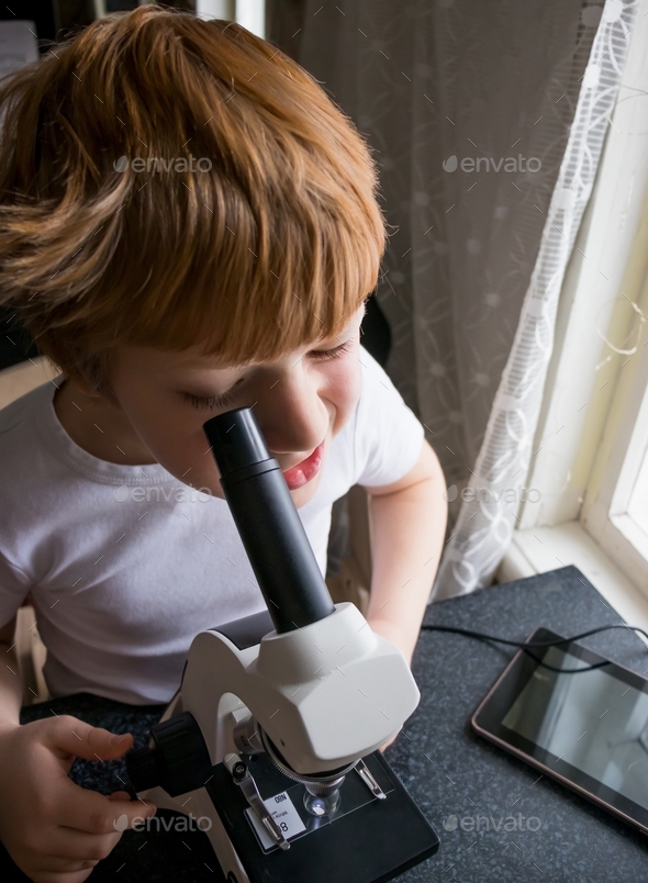 top view of a child studying carefully glasses with laboratory materials under a microscope