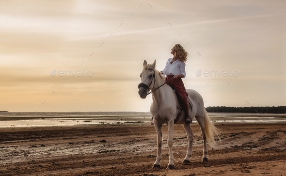 Cute young woman on white horse takes horse ride on sea beach at sunset