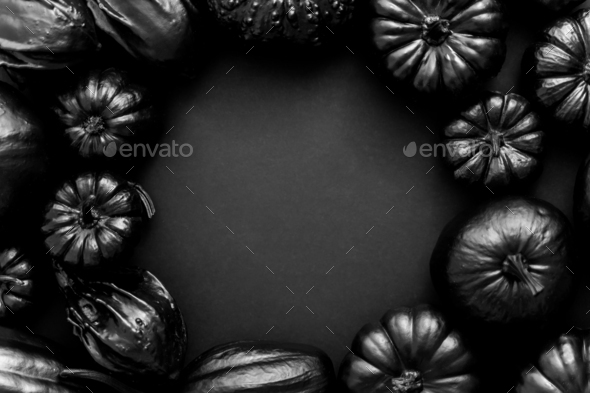 Various kinds cute mini pumpkins in black colour placed in circle with copy space - Stock Photo - Images