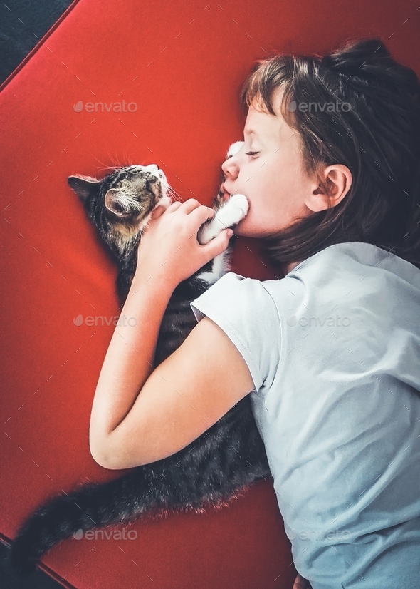 Young girl hugging her pet kitten while sleeping on red couch. Stock