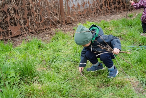 The child collects dry branches from the grass