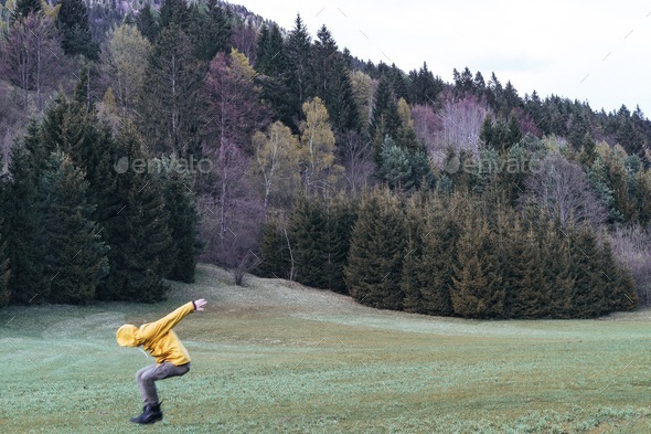 Nature tree jumping - Stock Photo - Images