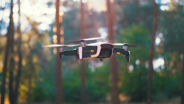 Drone with a Camera Hovers in the Air. Flies Above the Ground in the Forest. Slow Motion alt