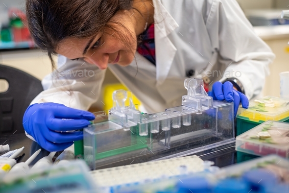 Young lady scientist working in a biomedical research laboratory running western blot
