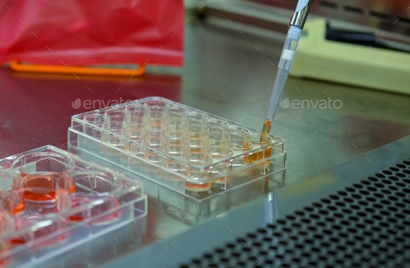 Biomedical research in laboratory