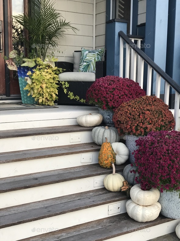 Fall door steps with mums and pumpkins