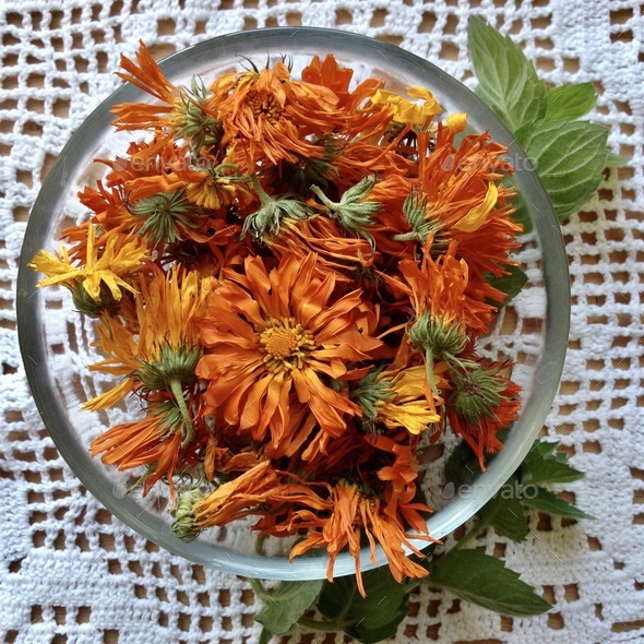 dried calendula flowers in a saucer stand on the table on a knitted napkin  Stock Photo by Yashik7777