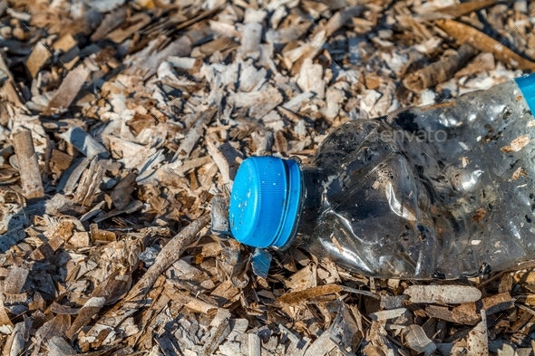 Discarded plastic pet bottle lying seaweed on the shoreline. Environmental plastic pollution.