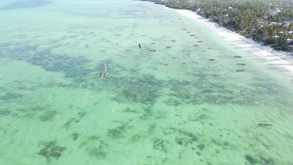 Kitesurfing Near the Shore of Zanzibar Tanzania alt