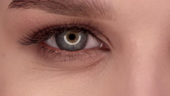 Eye Model Close-Up in A Beauty Salon