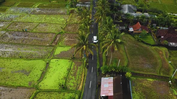 Amazing cinematic Ubud, Bali drone footage with exotic rice terrace, small farms, village houses and alt