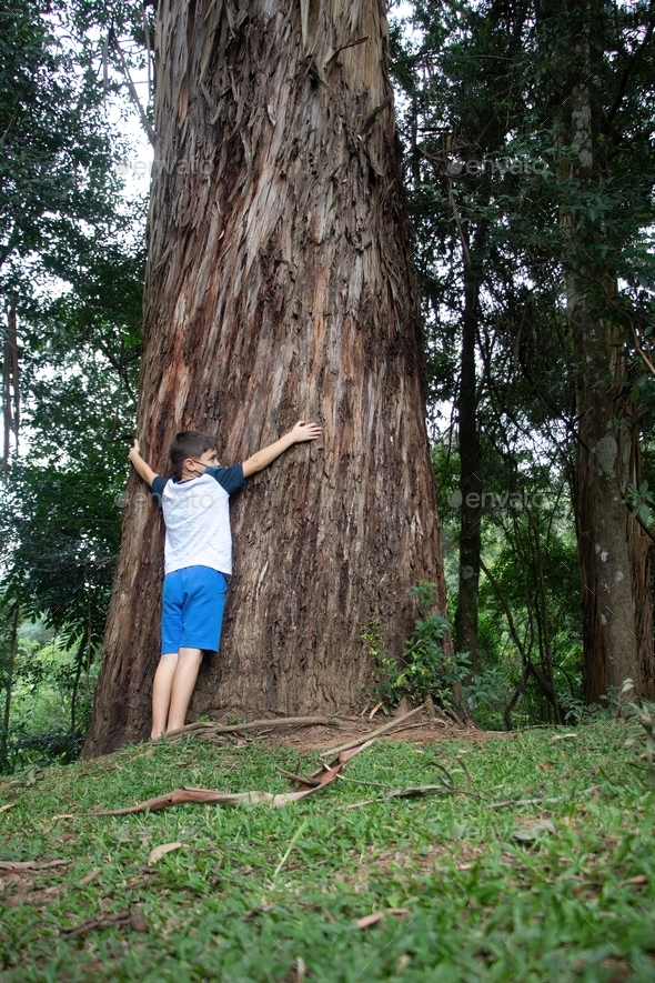 hugging the tree - Stock Photo - Images