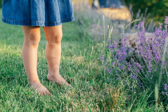 Little girl's feet in denim dress in sun on lawn next to flowers of ...