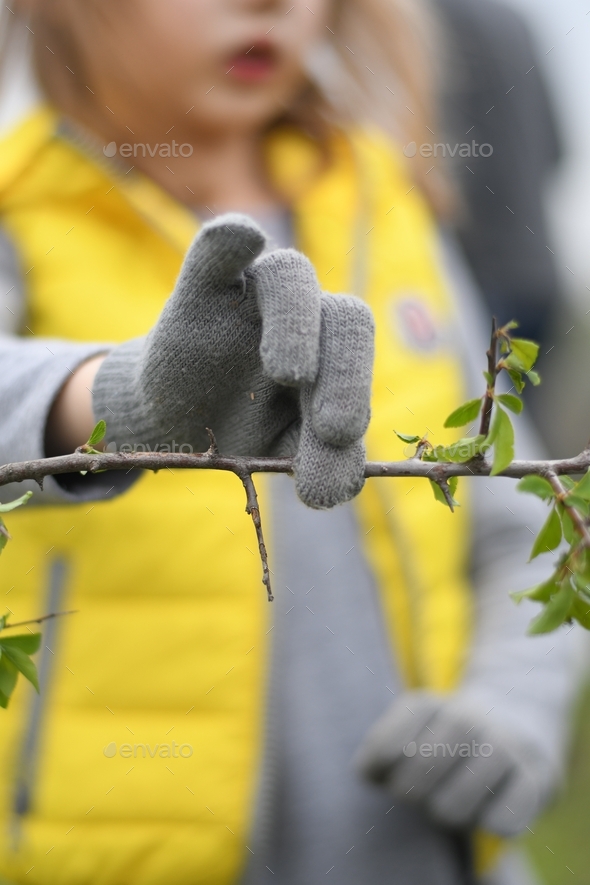 Closeup gardener girl hand in grey gloves holds twig of plant