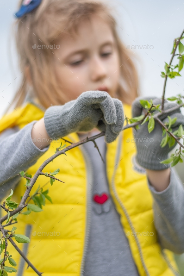Little girl gardener in grey gloves holds tree branch with fresh leaves