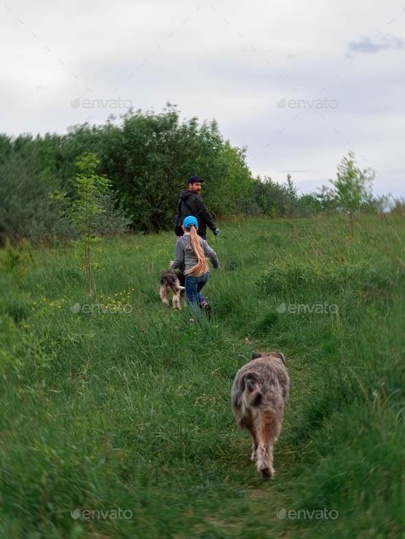 Family walking with dogs on green grass rural landscape. Countryside cottagecore style. Camping