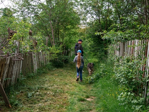 Family walking with dogs on green grass rural landscape. Countryside cottagecore style. Camping