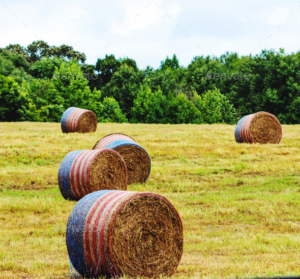 Collection 101+ Pictures why are hay bales wrapped in different colours Superb