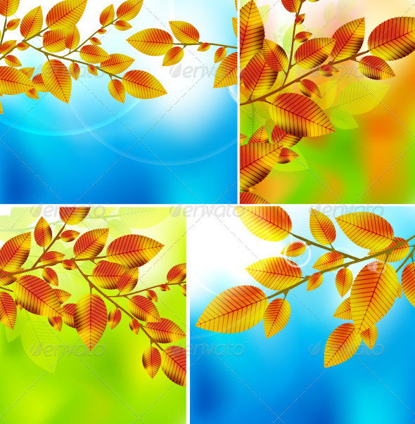 Vector Autumn Leaves Backgrounds - Seasons Nature