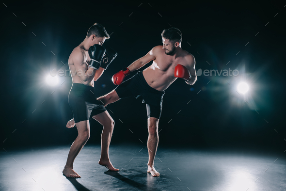 shirtless muscular mma fighter in boxing gloves kicking another in leg ...