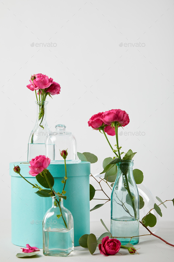 eucalyptus and pink roses in transparent bottles with turquoise gift box and bell jar isolated on