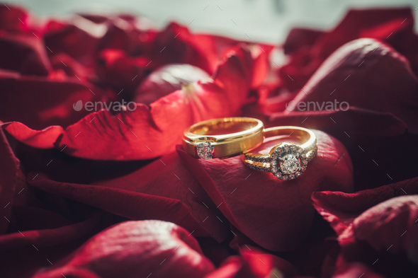 Wedding Ring in Rose, Will you marry me?,valentine Day
