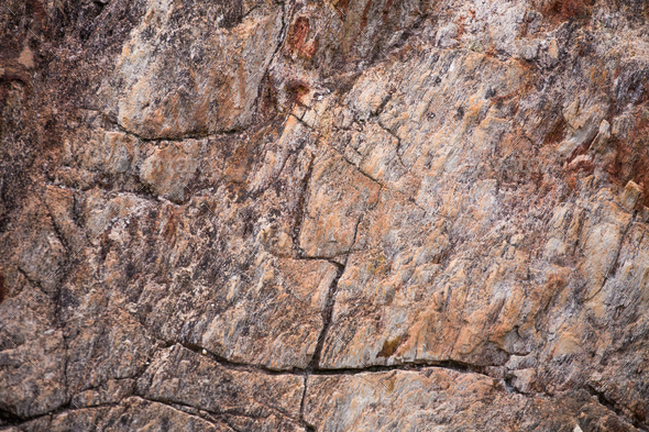 The Petrified Wood Texture Background Stock Photo by FamilyStock