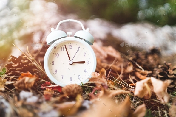 Close up white vintage alarm clock on autumn forest floor background - Stock Photo - Images