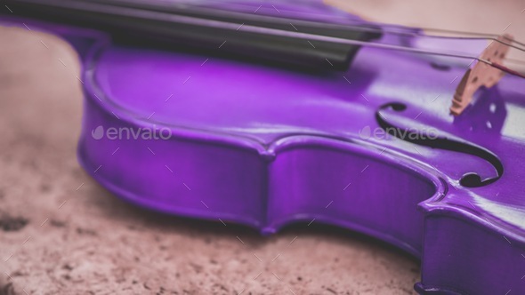Purple viola on a granite coffee table