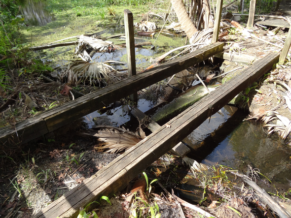 Old swamp bridge - Stock Photo - Images