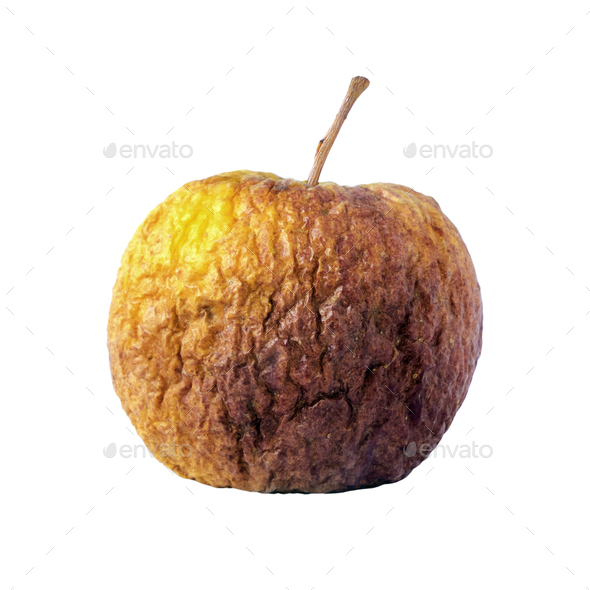 Rotting apple fruit isolated on white - Stock Photo - Images