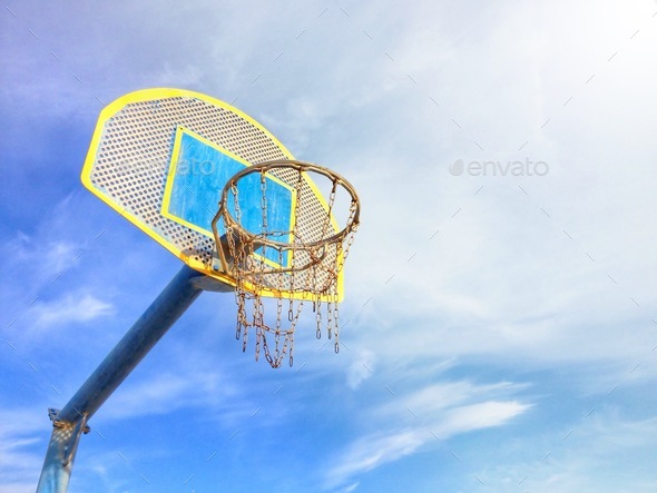 The basket  - Stock Photo - Images
