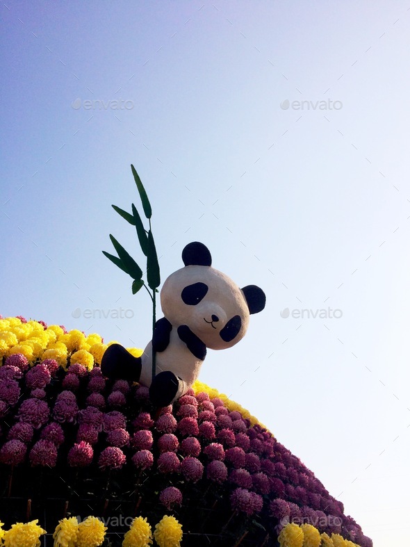 Panda bear - Stock Photo - Images
