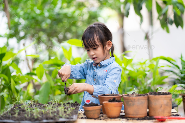 Cute asian 5 years old little girl is fill the soil and planting the ...