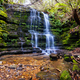 Myrtle Gully Falls in Tasmania Australia - PhotoDune Item for Sale