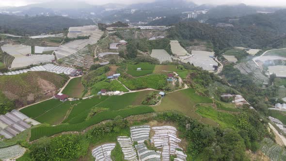 Cameron Highlands, Pahang Malaysia alt