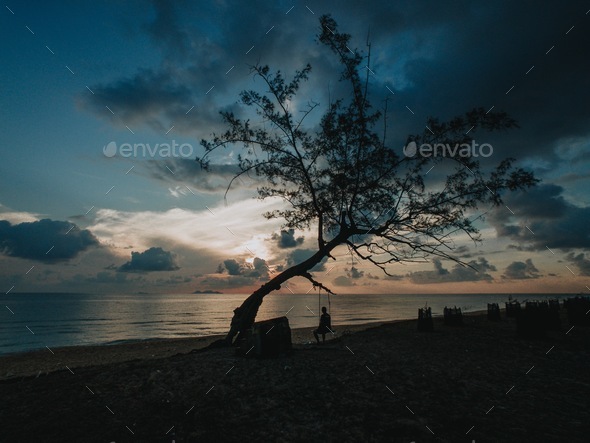 Lonely people lonely tree - Stock Photo - Images