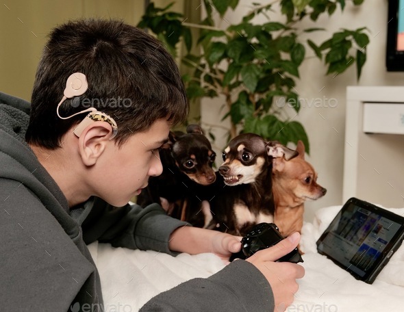 deaf boy with cochlear implant playing computer game on playstation and watching cartoon with dogs - Stock Photo - Images