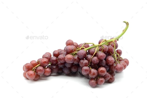 red wine grapes on white isolated background. - Stock Photo - Images