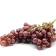 red wine grapes on white isolated background. - PhotoDune Item for Sale