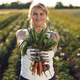 Onions, carrots and beetroot in hands. Woman is on the agricultural field at daytime - PhotoDune Item for Sale
