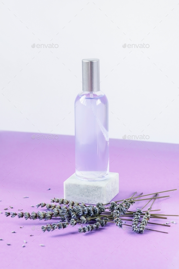 Lavender water or hydrolat in glass bottle with lavender flowers on podium on purple table. Aroma