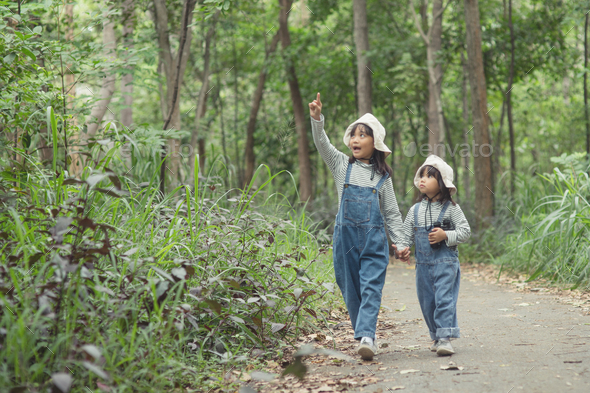 Children are heading to the family campsite in the forest Walk along ...