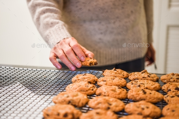 Freshly baked chocolate chip cookies are hard to resist!