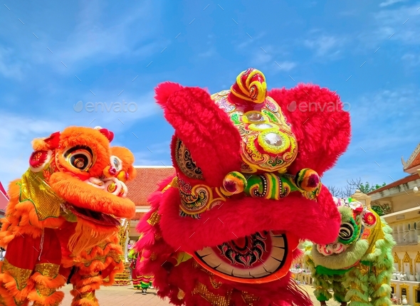 Three colorful Chinese lions dance performances celebration in outdoor area