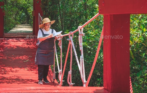 Asian female forester taking notes on red hanging bridge in mangrove forest at natural parkland